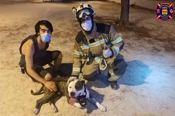 Rescate perro de desagüe en Alcorcón