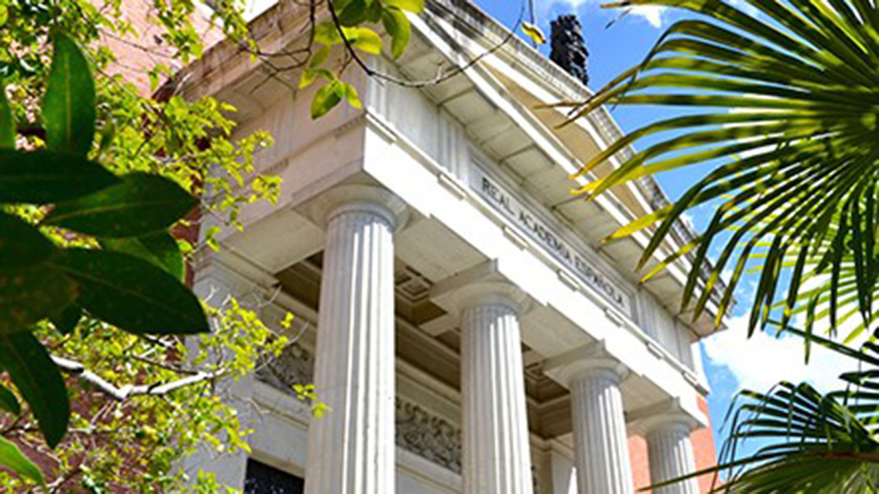 Real Academia Real Academia