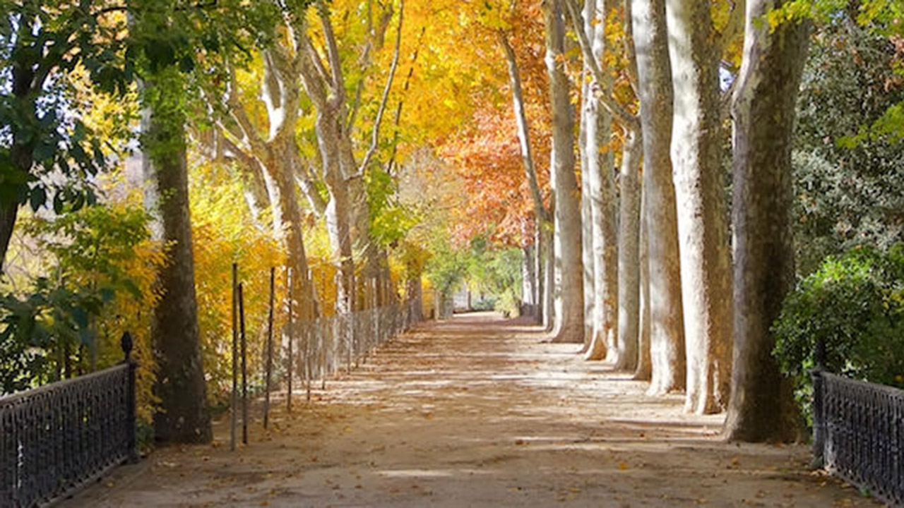 El Retiro El Retiro