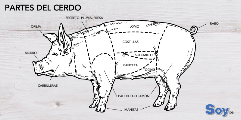 despiece cerdo