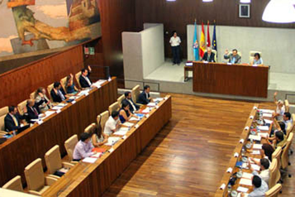 Resultado de imagen de pleno leganes