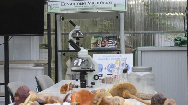 El Consultorio Micológico abre su servicio de atención al público los miércoles