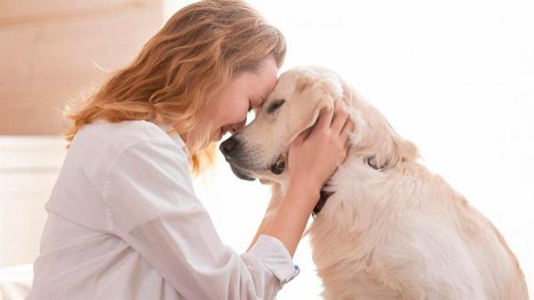 Los perros son fuente de consuelo y apoyo, sobre todo, para luchar contra las enfermedades de salud mental