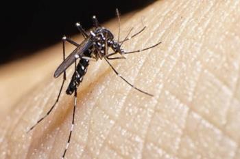 Lee toda la noticia 'Rivas pide colaboración vecinal para evitar la proliferación del mosquito tigre'