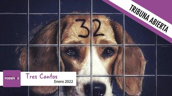 38 cachorros Beagle podrían ser sacrificados en Tres Cantos